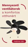 Ceiling fan 6/2026