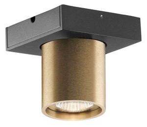Mennyezeti Lámpa LIGHT-POINT, dimmable, Arany / Sárgaréz, Nappali, Alumínium