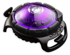 LED fény nyakörvre Purple - Orbiloc