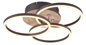 Fekete-barna LED mennyezeti lámpa 43x43 cm Circle – Trio