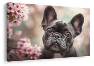 Kép cuki bulldog virágok között