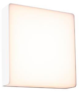 Kültéri Lámpa Paulmann, Azalena, dimmable, Fehér, Alumínium
