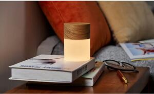 Sötétbarna szabályozható asztali lámpa üveg búrával (magasság 10,5 cm) Lemelia – Gingko