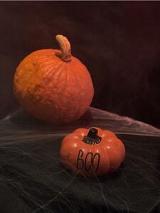 Sinsay - Halloween dekoráció - narancs
