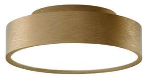 Mennyezeti Lámpa LIGHT-POINT, dimmable, Arany / Sárgaréz, Nappali, Alumínium