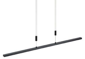 Függőlámpa Lindby, Arneja, dimmable, Fekete, Nappali, Fém, Modern