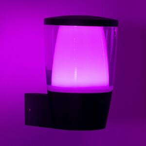 Kültéri Lámpa WiZ, Elpas, dimmable, Fekete, Műanyag, Modern