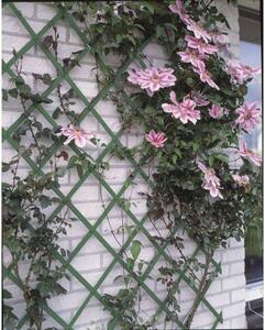 Nature zöld, pvc lugas rács 50 x 150 cm 6040702