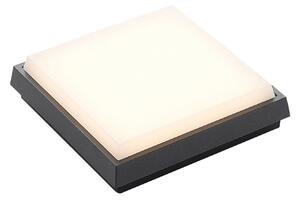 Amra LED Square Kültéri Mennyezeti Lámpa 17,5 Dark Grey