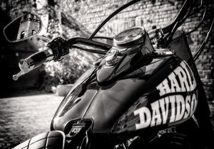 Harley - vászonkép