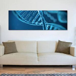 120x50cm - Az élet DNS vászonkép