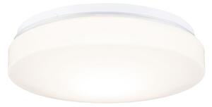 Mennyezeti Lámpa Paulmann, Axin, dimmable, Fehér, Fürdőszoba, Műanyag