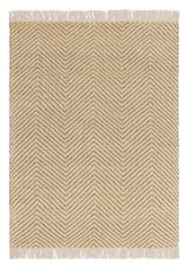 Okkersárga szőnyeg 160x230 cm Vigo – Asiatic Carpets