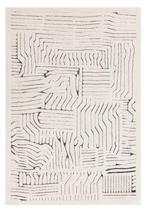 Krémszínű szőnyeg 160x230 cm Valley – Asiatic Carpets