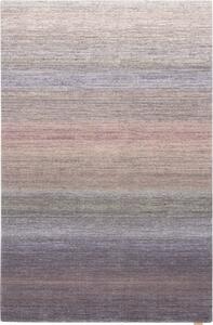 Gyapjú szőnyeg 200x300 cm Aiko – Agnella