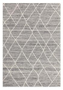 Szürke gyapjú szőnyeg 200x290 cm Noah – Asiatic Carpets