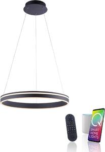 Paul Neuhaus modern függeszték q-vito antracit pln8411-13