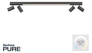 Paul Neuhaus modern spot lámpa pure-line antracit pln6121-13