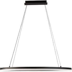 Fischer & Honsel modern függeszték sirko fekete fhl60977