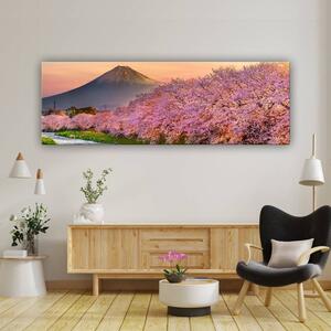 120x50cm - Cseresznyefák és a Fuji hegy vászonkép