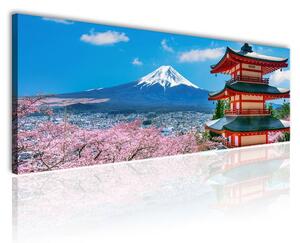 120x50cm - Pagoda Fuji Cseresznye virágzás vászonkép