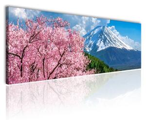 120x50cm - Cseresznye virágzás és a Fuji vászonkép