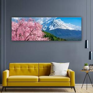 120x50cm - Cseresznye virágzás és a Fuji vászonkép