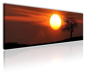 120x50cm - Misztikus naplemente vászonkép