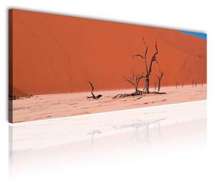 120x50cm - Kihalt sivatag vászonkép