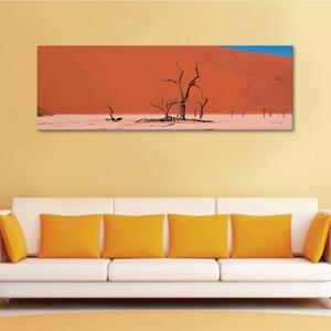 120x50cm - Kihalt sivatag vászonkép