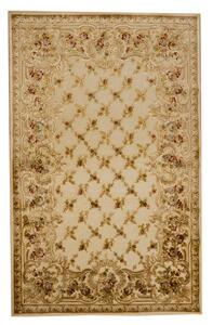 Dignity zsenília szőnyeg 38553/6262-60 200x290 beige-barna