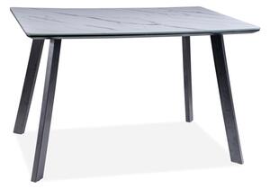 Samuel Modern Márvány Étkezőasztal MDF Fehér-Fekete 120cm