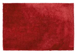 Hangulatos Hosszú Szőrű Piros Szőnyeg 140 x 200 cm EVREN