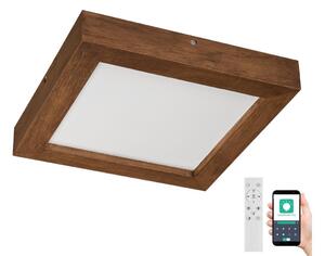 Brilagi Brilagi-LED Dimmelhető lámpa WOODY FRAME LED/24W/230V tölgy 30x30 cm IP44 + távirányító BG0860