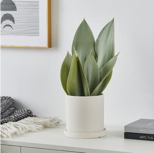 Eglo Eglo 428387 - Műnövény virágcserépben TOBETSU 41,5x28,5 cm EG428387