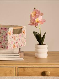 Sinsay - Dísznövény cserépben – orchidea - pasztellpink