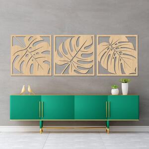 Természetes monstera faldekoráció - SELERE