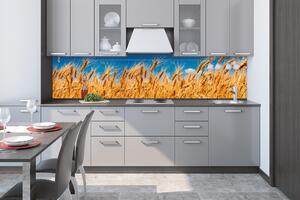Konyhai fotótapéta - búzamező 260 x 60 cm