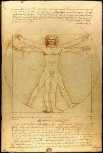 Plakát Vitruviusz-férfi, (61 x 91.5 cm)