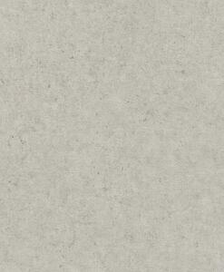 TF00520859 betonhatású tapéta