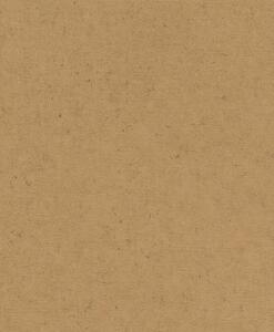 TF00520897 betonhatású tapéta