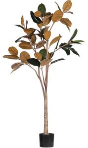 Hoorns Moran művirág 170 cm