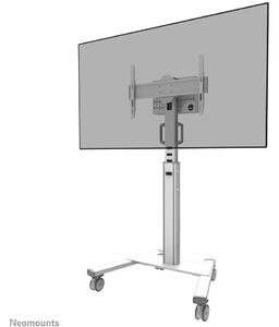 NewStar FL50S-825WH1 37