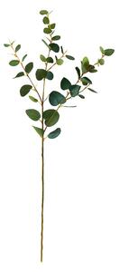 FLORISTA eukaliptusz ág, zöld 70cm