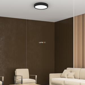 Milagro Gea szabályozható mennyezeti LED lámpa távirányítóval, 39 cm, fekete