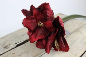 Piros mű amaryllis (hölgyliliom), száron 86 cm