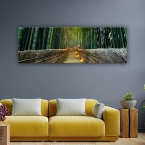 120x50cm - Arashiyama bambusz erdő vászonkép