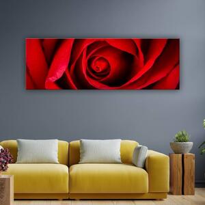 120x50cm - A vörös rózsa illata vászonkép