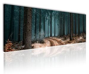 120x50cm - Erdő mélyén vászonkép