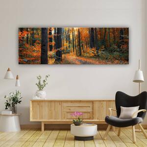 120x50cm - Őszi erdőn átszűrődő fények vászonkép